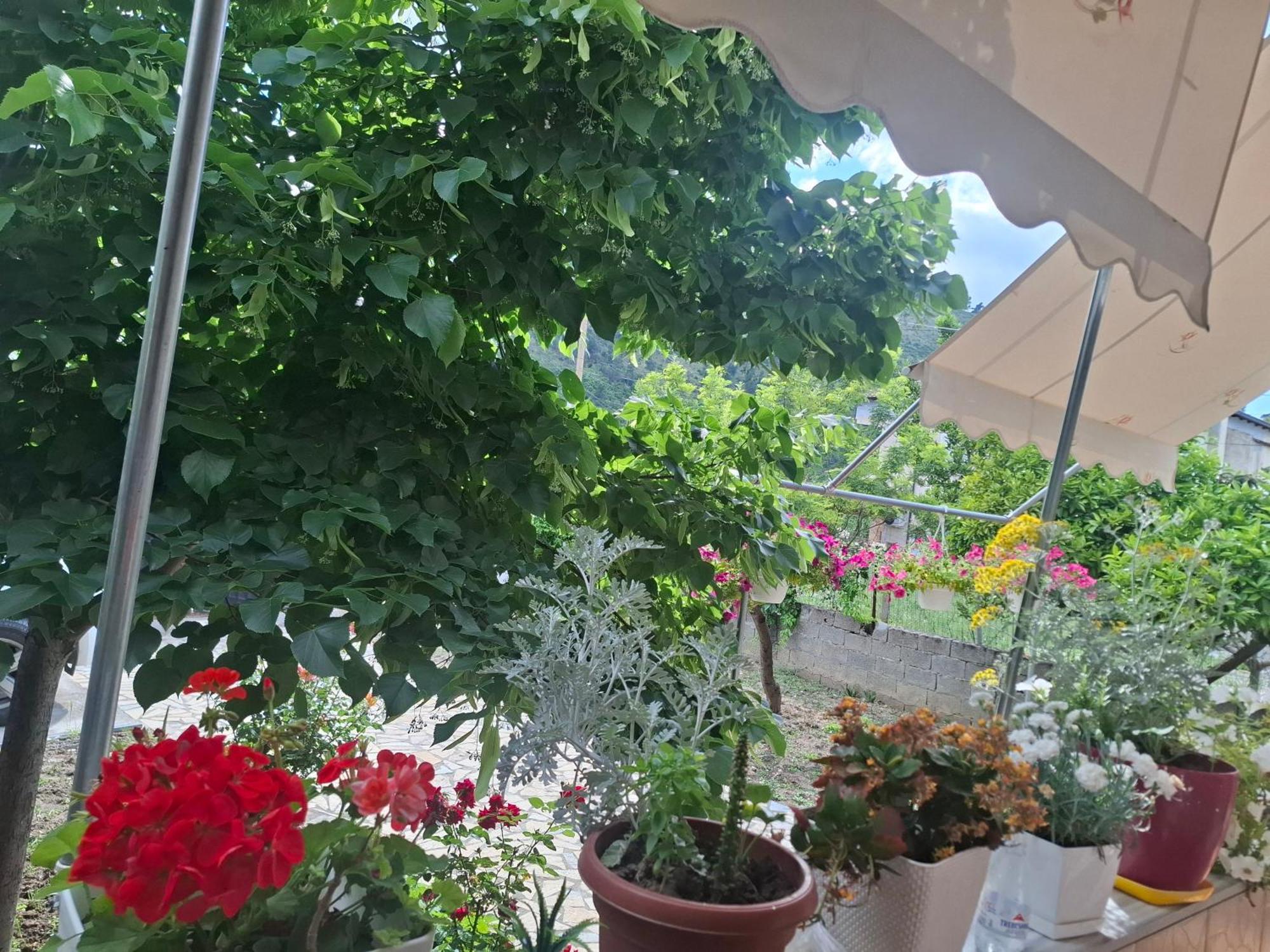 Apartment Xheison 베라트 외부 사진